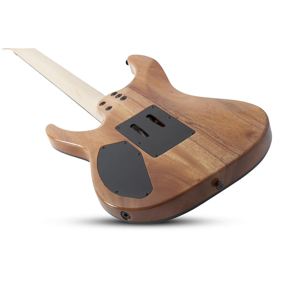 SCHECTER C-6 FR  Pro - Image 3