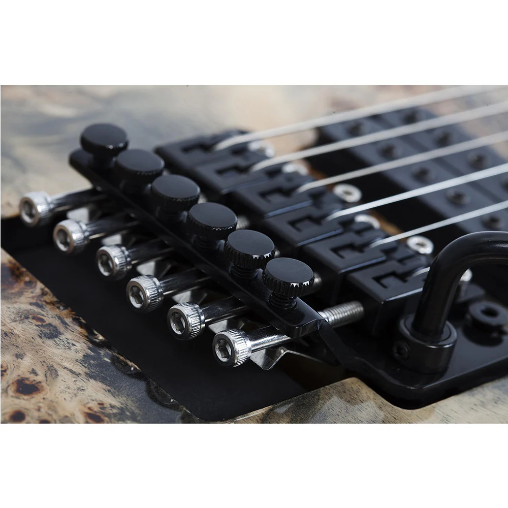 SCHECTER C-6 FR  Pro - Image 9