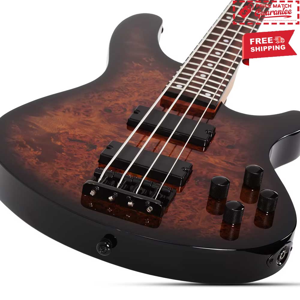 SCHECTER Standard Series C-4 - Tobacco Burl - Image 3