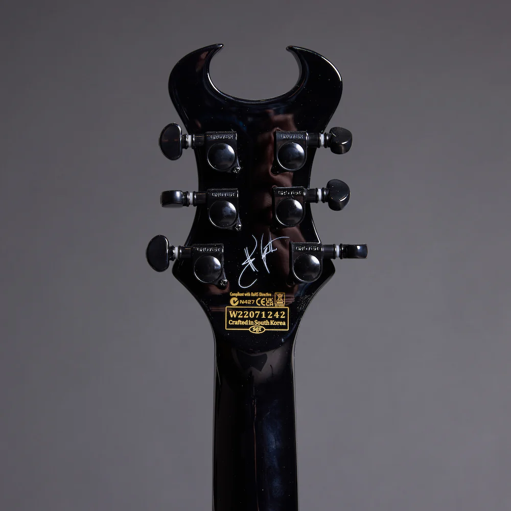 SCHECTER SYNYSTER Custom - Image 9