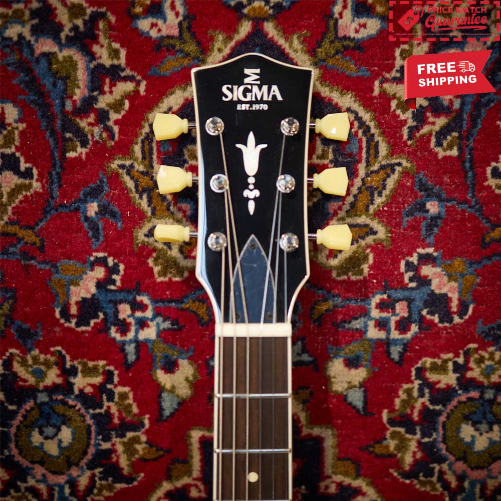 SIGMA Semi Hollow P90 w/bag - Image 5
